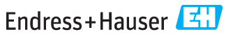 Endress+Hauser logo