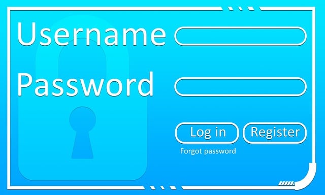 Can I Use Single Sign On (SSO) With DocBoss